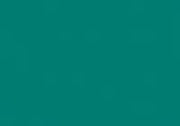 Folia Tekenpapier donkergroen 50X70/130G (115510/0158)