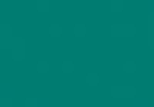 Folia Tekenpapier donkergroen 50X70/130G (115510/0158)
