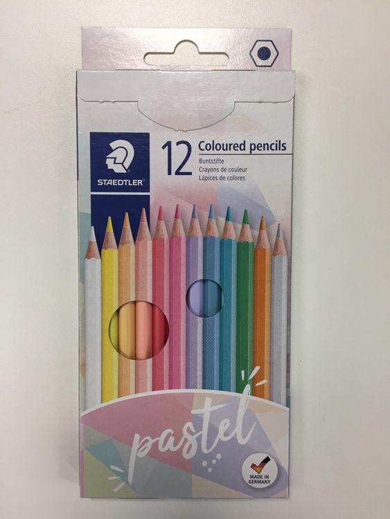 kleurpotloden - kartonnen etui 12 st pastel (146 C12 PA)
