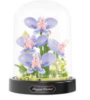 Balody Orchids (16345)