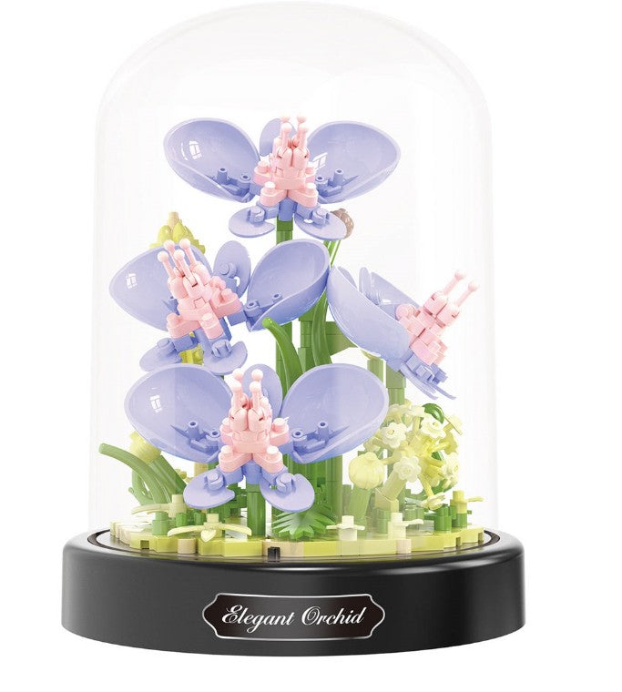 Balody Orchids (16345)