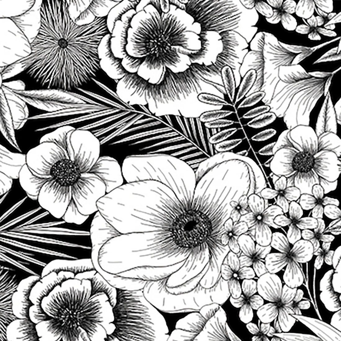 Cricut Joy™ Adhesive-Backed Deluxe Paper, Black and White Botanicals (2008049)