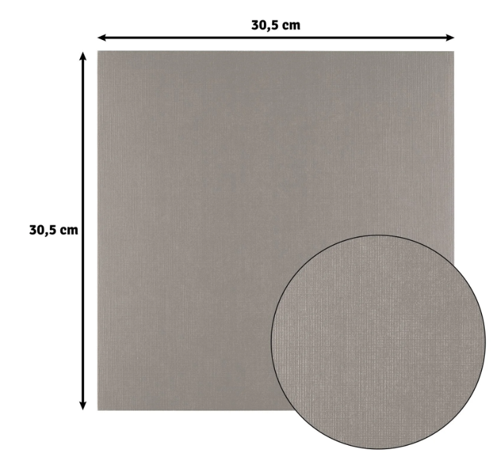 Florence • Linnenkarton 250g 30,5x30,5cm Concrete 10x 2822-087)