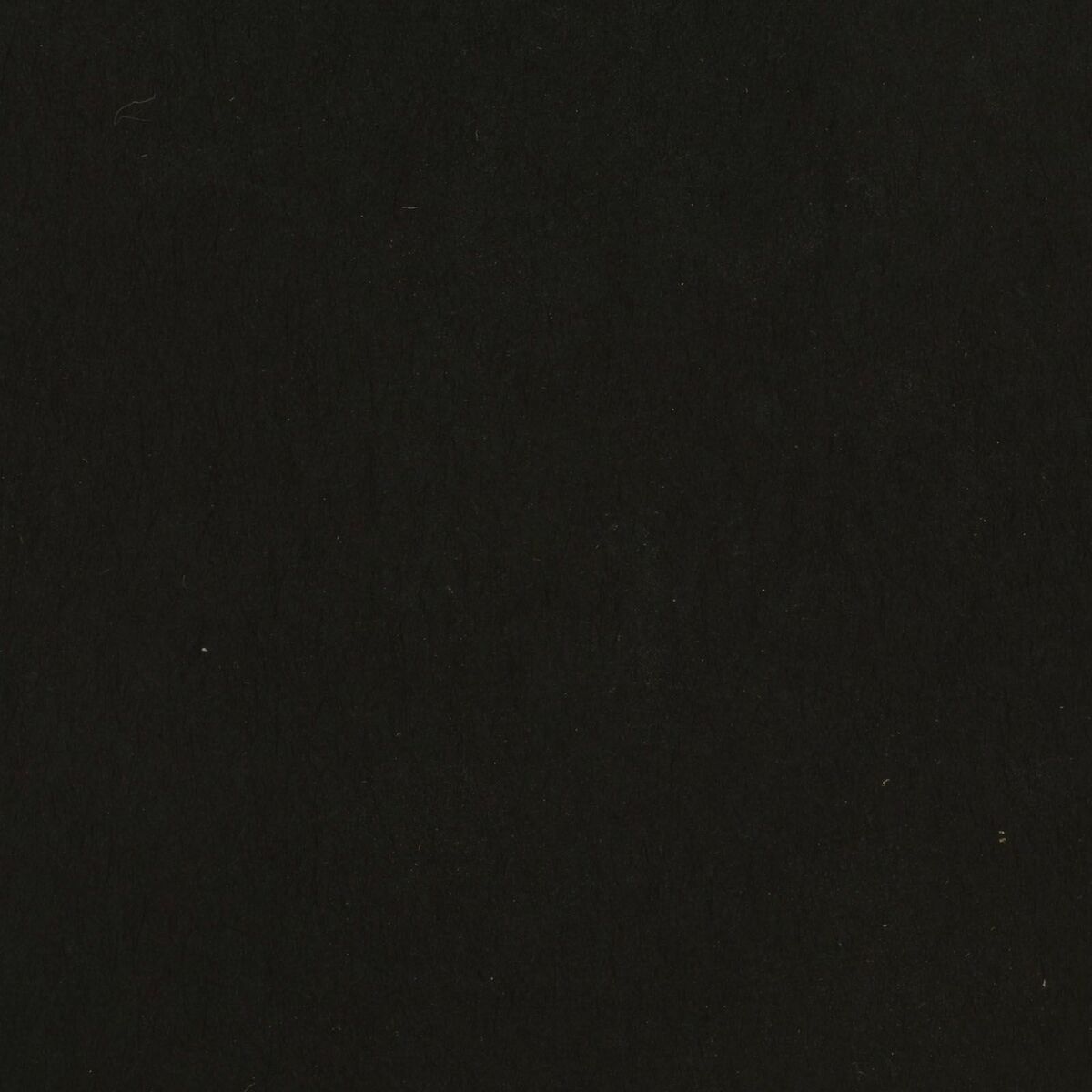 Florence • Cardstock smooth 30,5x30,5cm - 1 vel - Zwart (2924-096)