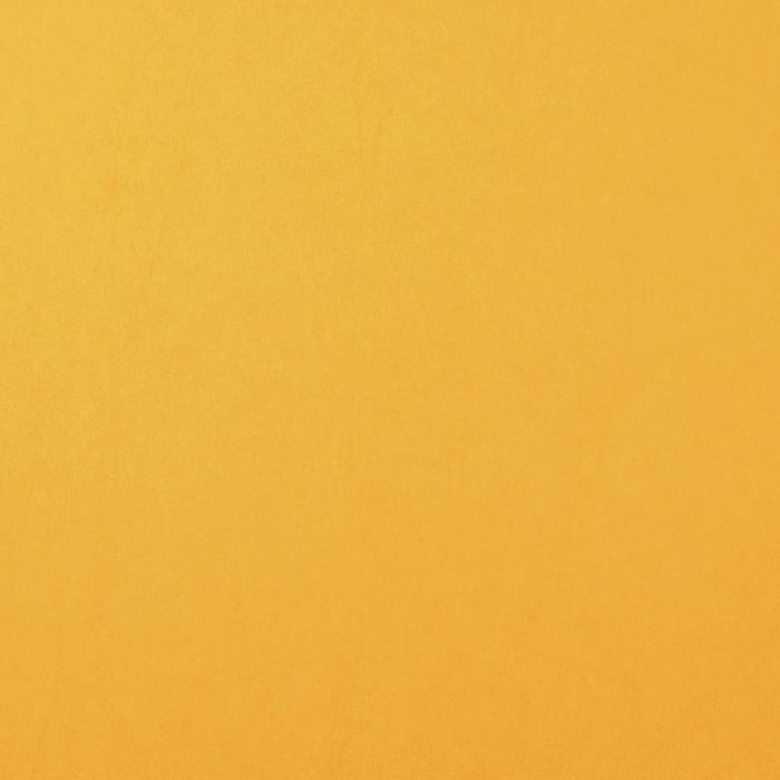 Florence • Cardstock smooth 30,5x30,5cm - 1 vel - Bee / Geel (2926-009)
