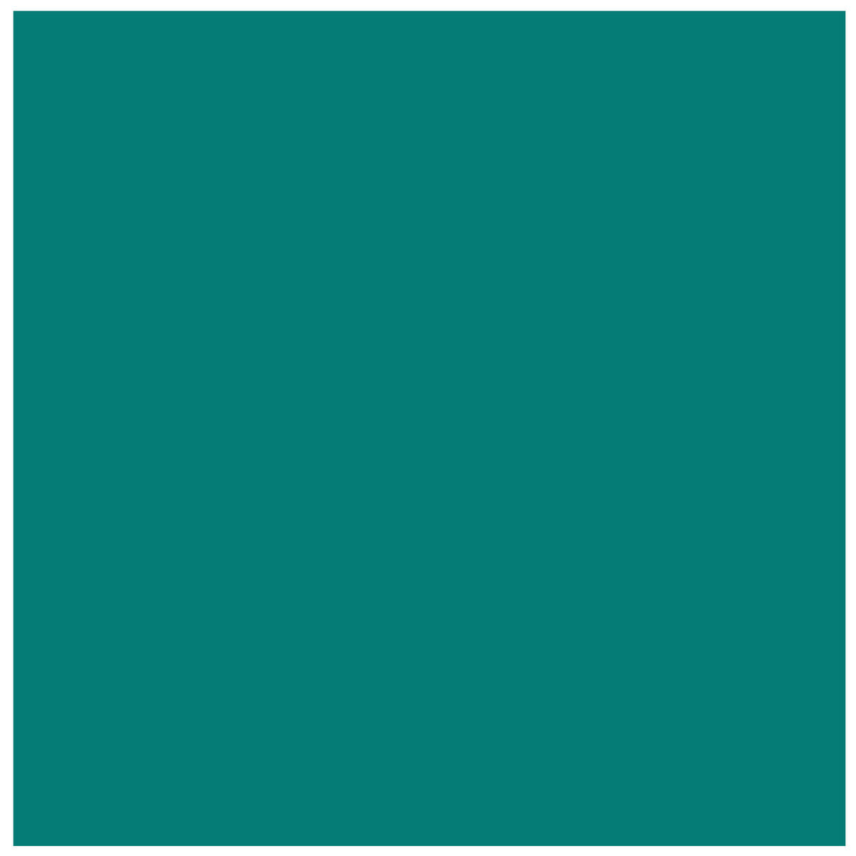 POLI-FLEX - PREMIUM - Flexfolie - A4 - Turquoise (413)