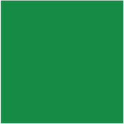 POLI-FLEX IMAGE DIMENSION Flexfolie - Green - A4 (064218)