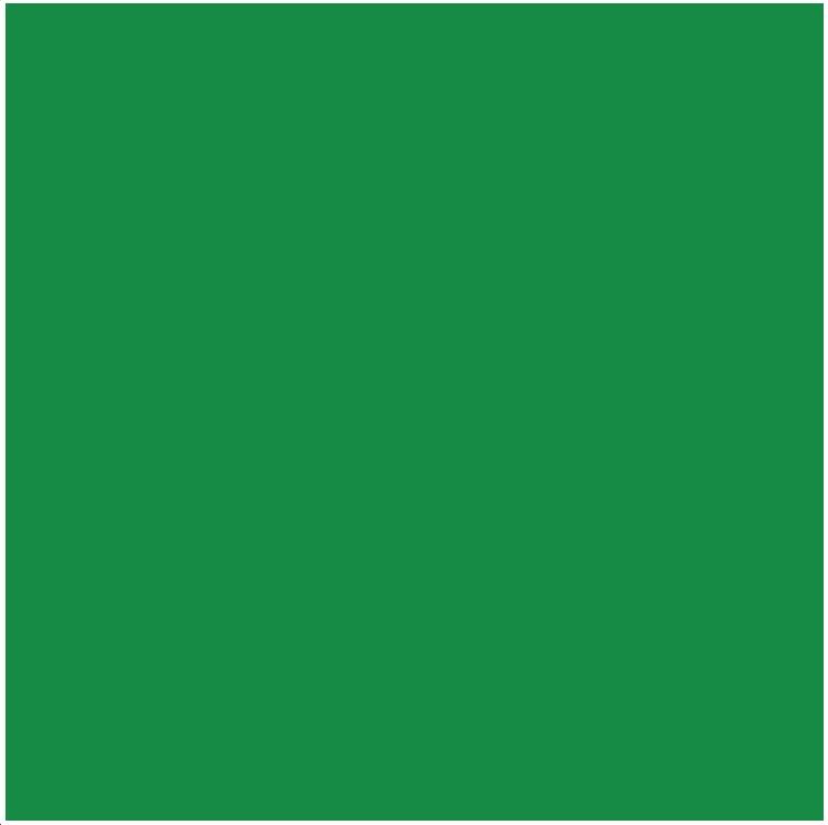 POLI-FLEX IMAGE DIMENSION Flexfolie - Green - A4 (064218)