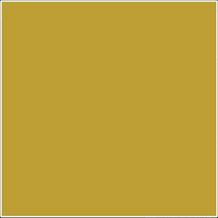 POLI-FLEX IMAGE DIMENSION Flexfolie - Gold - A4 (064220)