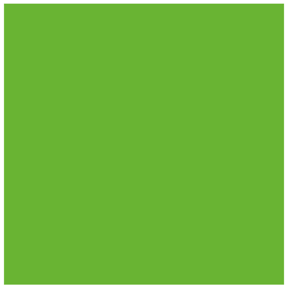 POLI-FLEX - PREMIUM - Flexfolie  - 30 x 50 cm - Neon-Green (441)