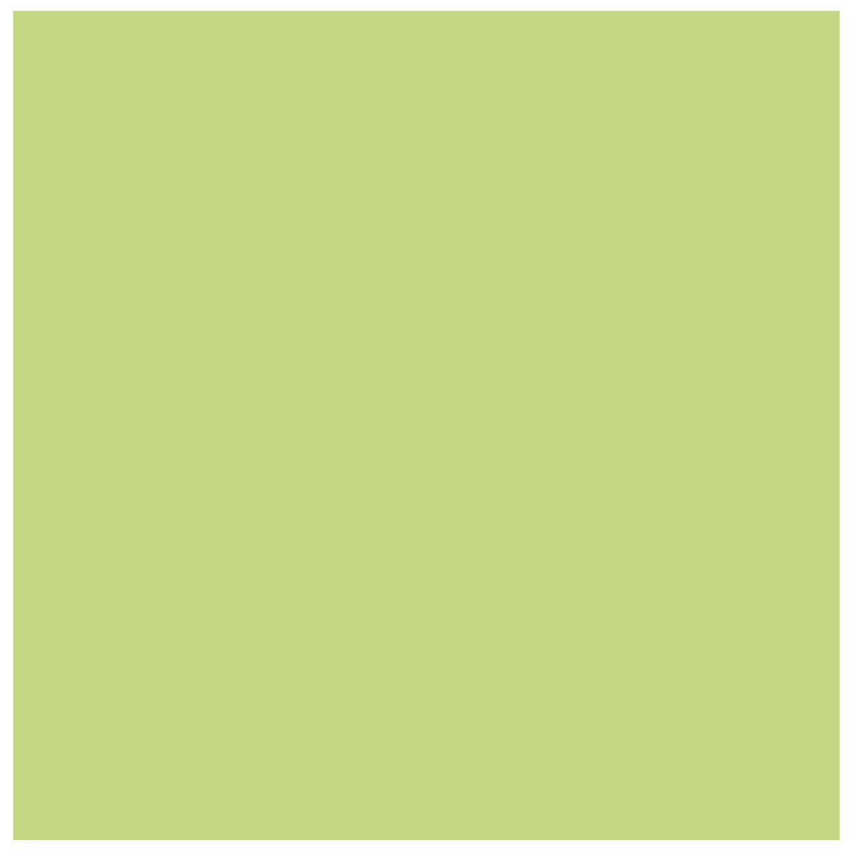 POLI-FLEX - PREMIUM - Flexfolie  - 30 x 50 cm - Light-Green (474)