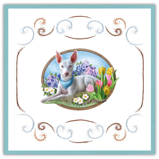 Stitch and Do 184 - Amy Design - For Friends