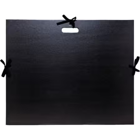 Exacompta Tekenmap 538900E Karton 590mm x 720mm Zwart  (538900E)