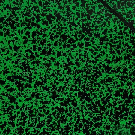 Exacompta Tekenmap 542000E Karton A3 Groen (542000E)