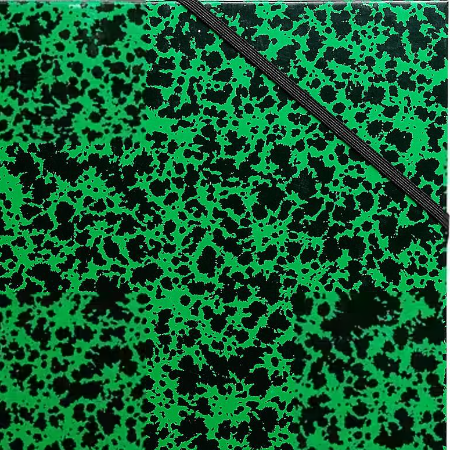 Exacompta Tekenmap 542800E Karton 520mm x 720mm Groen (542800E)