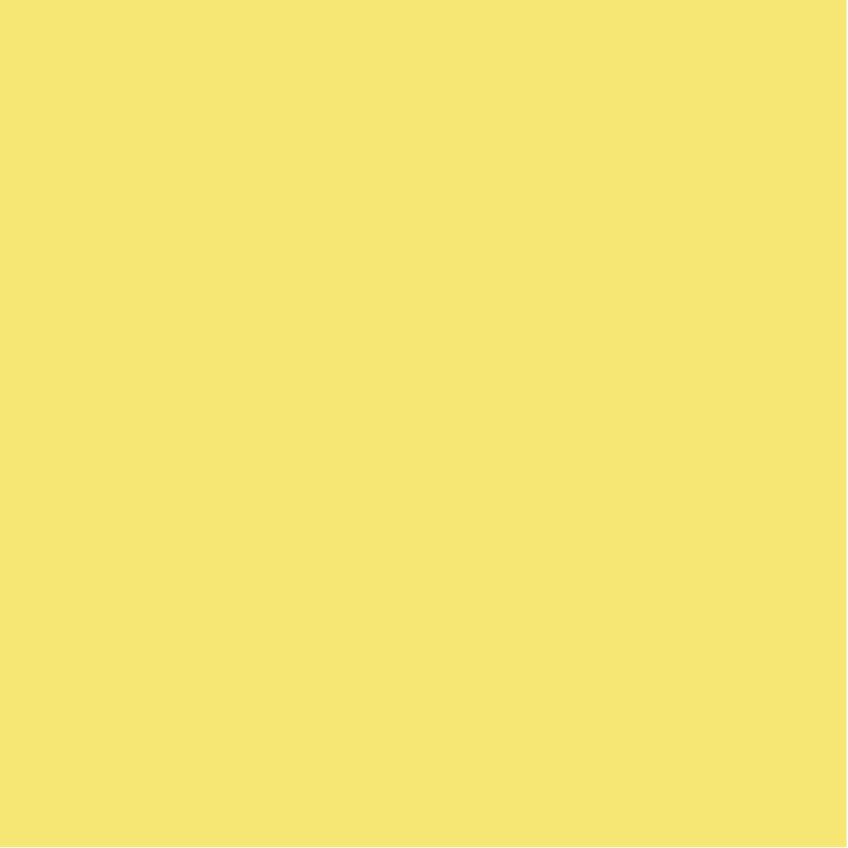 POLI-FLEX PREMIUM Flexfolie DIN A4 Pastel-Yellow (694)