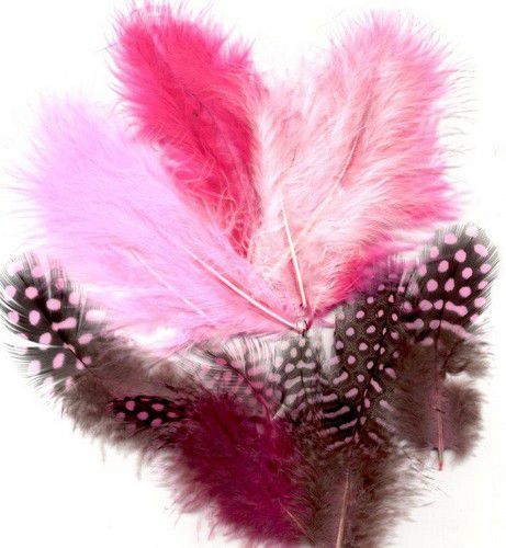 Marabou&Guinea veren mix roze 18 ST (12229-2903)
