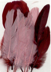 Veren gala bordeaux mix 12,5 - 17,5 cm 15 ST (12238-3807)