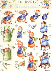 3D Knipvel - Studio Light - Peter Rabbit 10