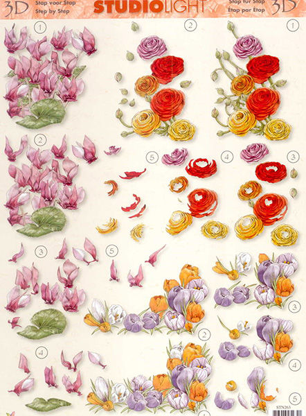3D Knipvel - Studio Light - Bloemen 024