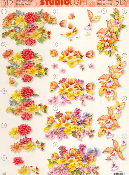 3D Knipvel  - Studio Light - Bloemen 027