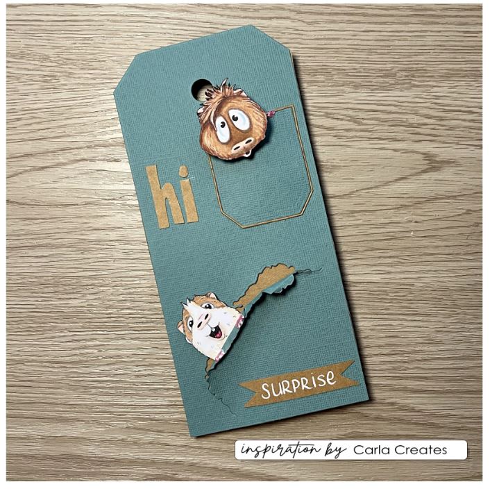 Vaessen Creative • Snijmallen Action by Carla Creates (CAR0001)
