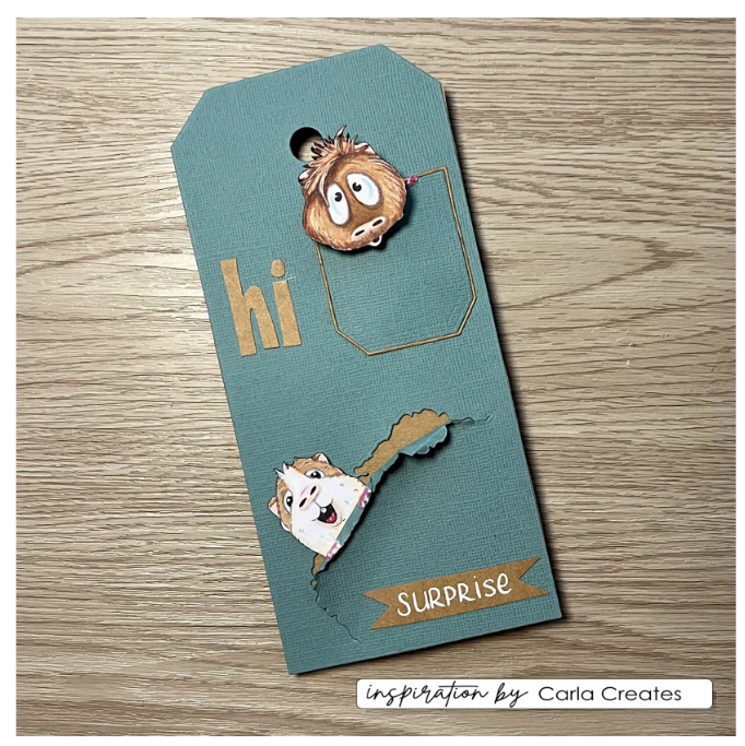 Vaessen Creative • Clear Stamps Guinea Pigs 2 by Carla Creates (CAR0004) *