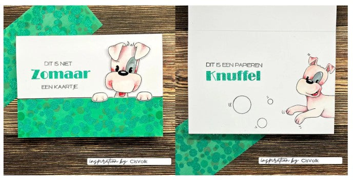 Vaessen Creative • Clear Stamps Nederlandse Teksten 23st. (CAR0203) *
