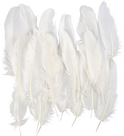 CC Ganzenveren 15 cm Wit 70 stuks (51674)