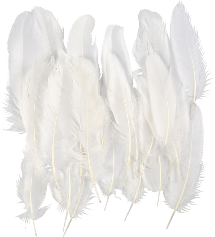 CC Ganzenveren 15 cm Wit 70 stuks (51674)