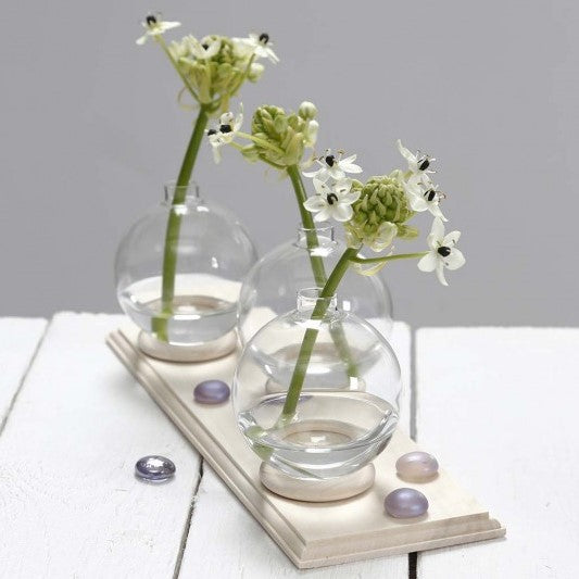 CC Ring hout 55 mm 6 stuks (56499)