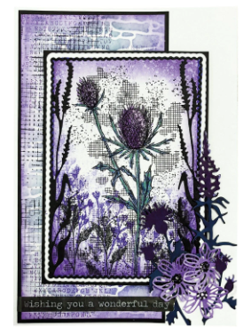 Studio Light • Nature's Dream 2 Cutting Die Thistle - CD891*