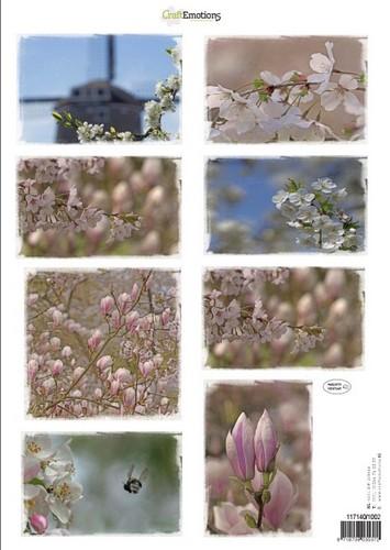 CraftEmotions Knipvellen - Voorjaarsbloemen 2 roze A4 160 grm (117140/1002) (AFGEPRIJSD)