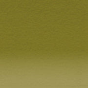 Coloursoft Lichen Green 500 (DCS07010021)