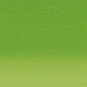 Inktense Fern 1560 (DIP2301887)