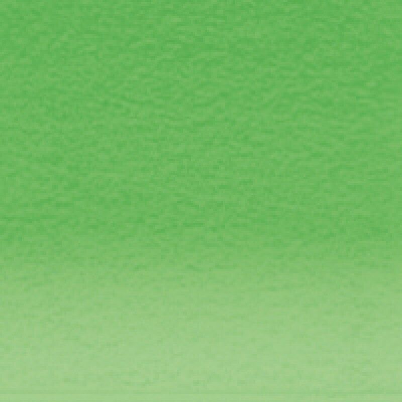 Derwent Pastel Emerald Green 460 (DPP2300275)