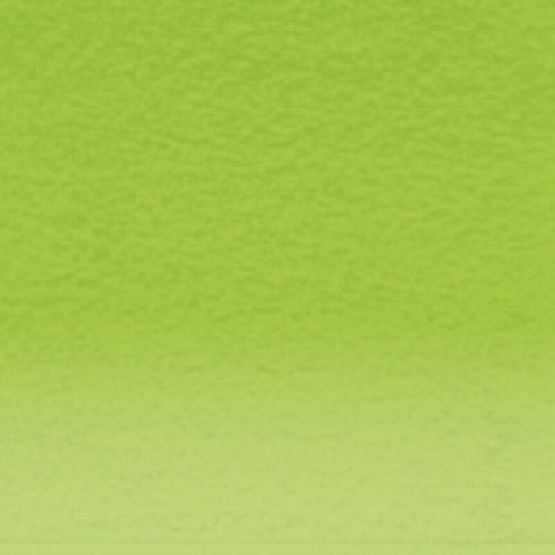 Derwent Pastel May Green 480 (DPP2300277)