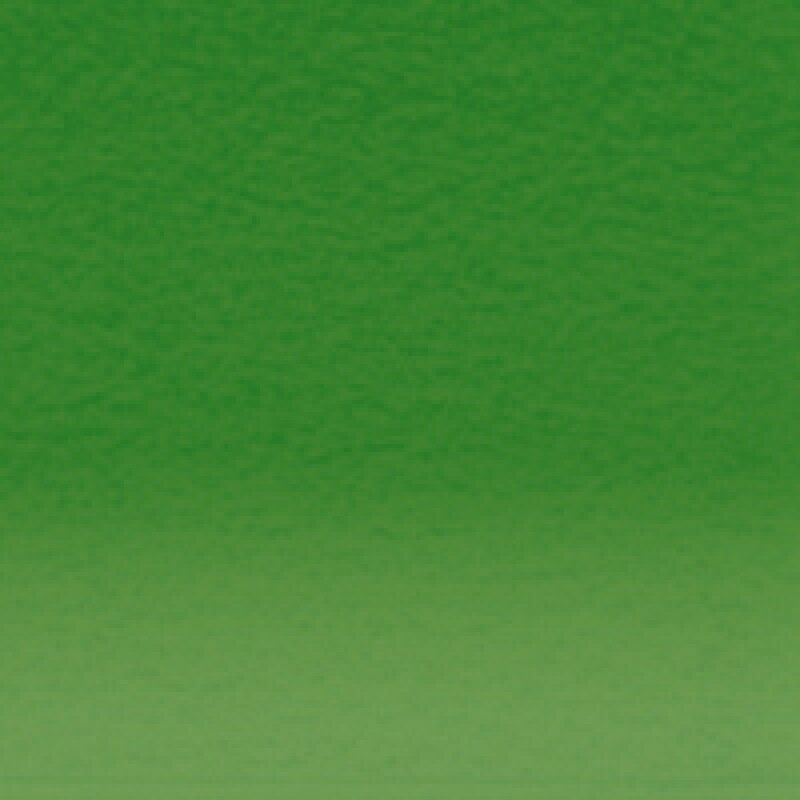 Derwent Pastel Ionian Green 500 (DPP2300279)