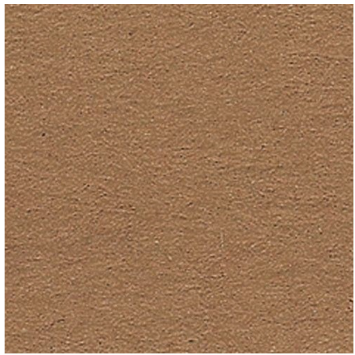 Folia Fotokarton Reebruin 50X70-300G (FO6175)