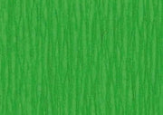 Folia Crepepapier groen 250X50CM (822140)