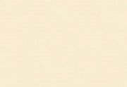 Folia Fotokarton Licht Beige 50X70-300G (FO6143)