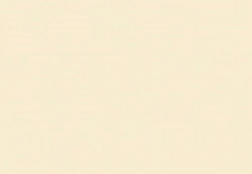 Folia Fotokarton Licht Beige 50X70-300G (FO6143)
