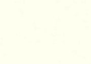 Folia Fotokarton Parelwit / Creme 50X70-300G (FO6101)