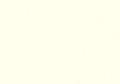 Folia Fotokarton Parelwit / Creme 50X70-300G (FO6101)