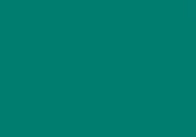 Folia Fotokarton dennengroen 50X70-300G (FO6158)