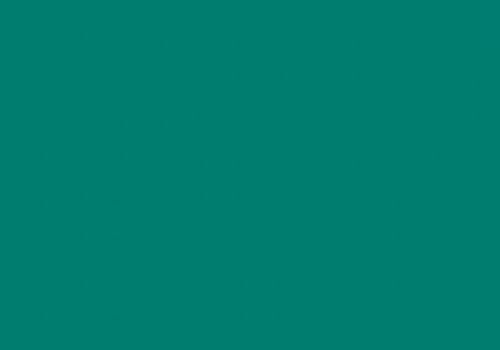 Folia Fotokarton dennengroen 50X70-300G (FO6158)