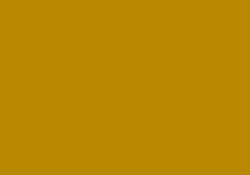 Folia fotokarton goud 50X70/300G (115670/0165)