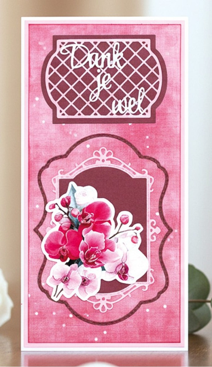 Hobbyzine Plus 70