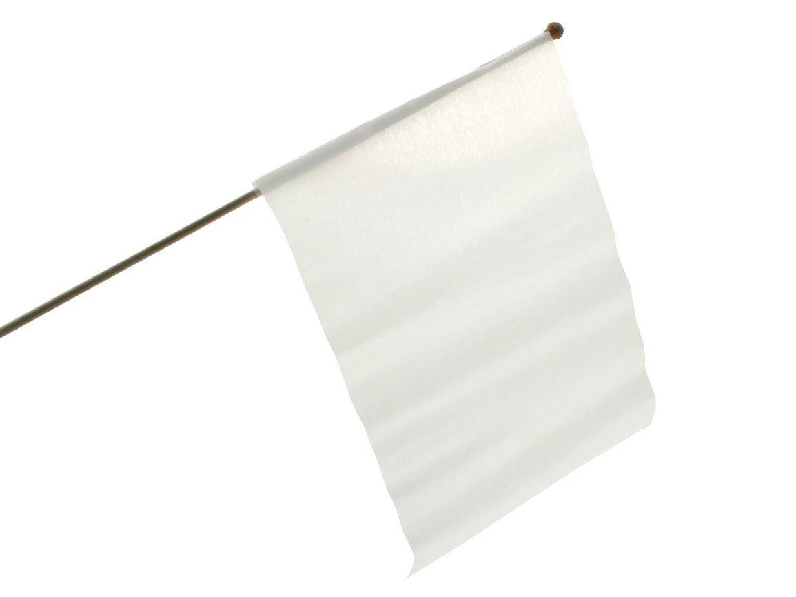 Sublimatie Handvlag Klein (HFS.290.200.001)