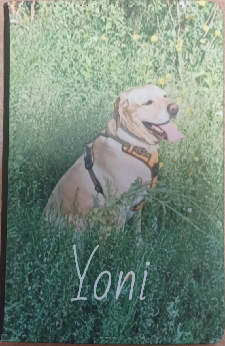 Dieren Paspoort Mapje | voor sublimatie print